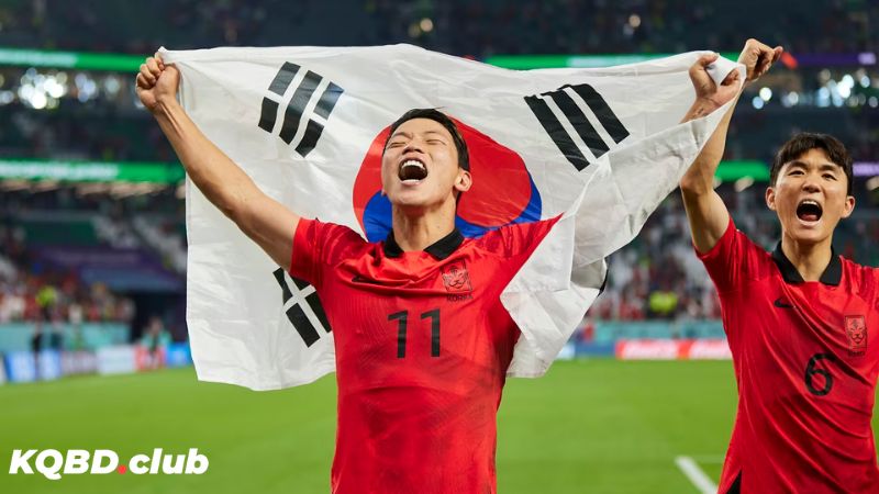 Các thành tựu nổi bật nhất của bóng Hàn Quốc