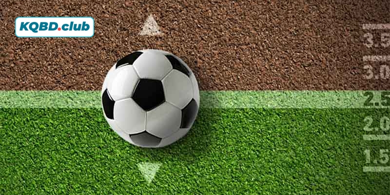 Các sân chơi điều chỉnh kèo cược như thế nào dựa trên sân bãi và thời tiết? Các sân chơi điều chỉnh kèo cược như thế nào dựa trên sân bãi và thời tiết?